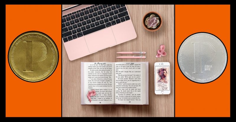 Michael L. Printz Award for Excellence in Young Adult Literature