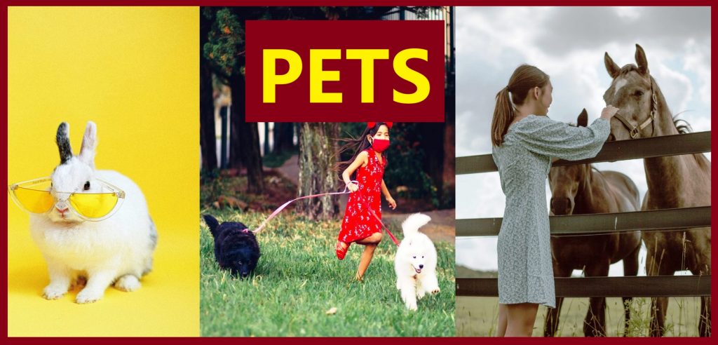 PETS